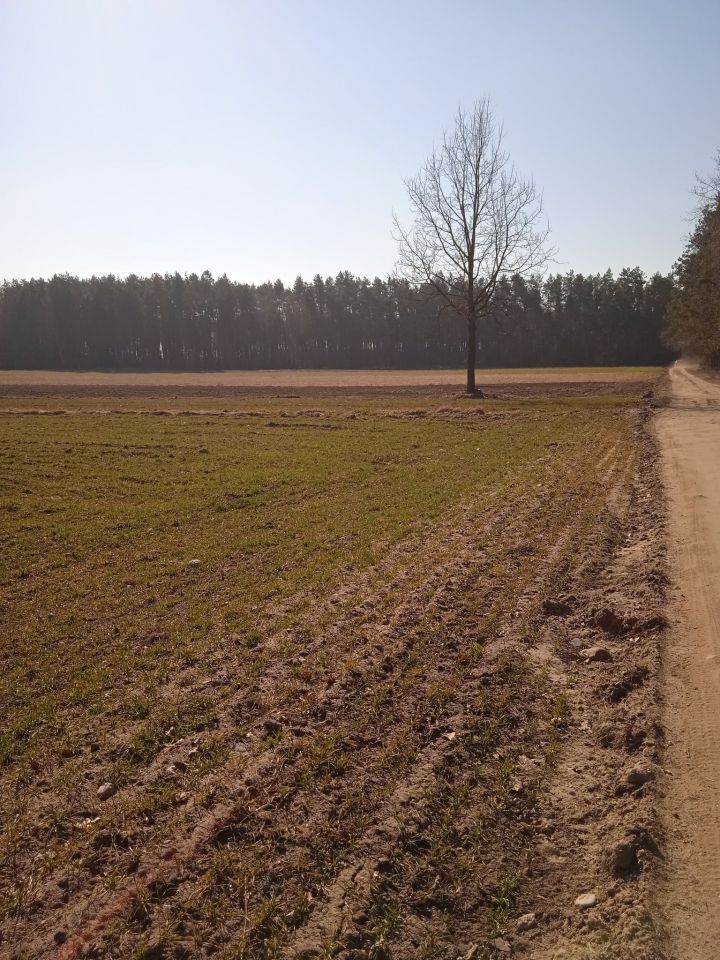 Działka budowlana Teodorów. Zdjęcie 7