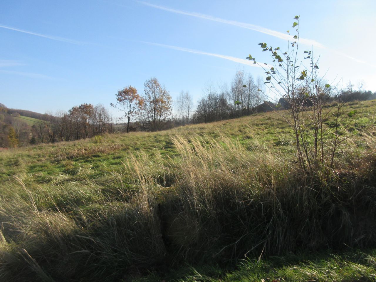 Działka budowlana Straszydle. Zdjęcie 16