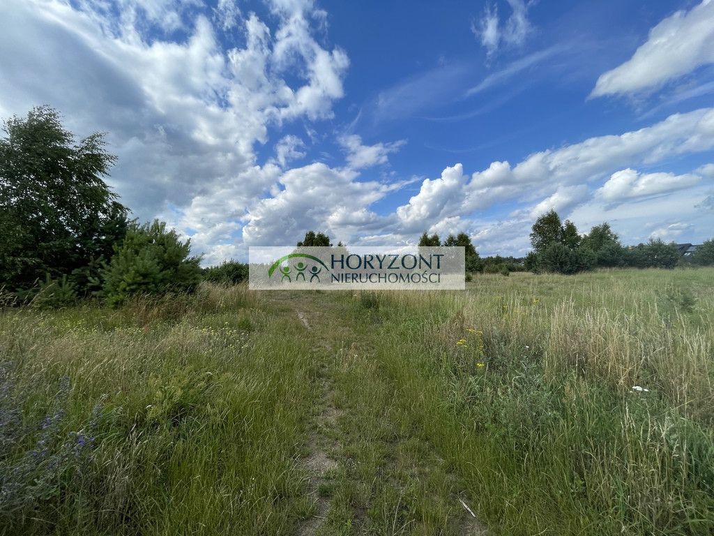 Działka inwestycyjna Bojano. Zdjęcie 8