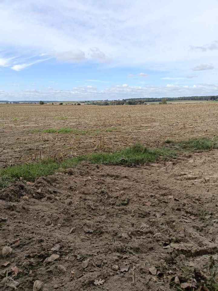 Działka budowlana Wierciszów. Zdjęcie 3