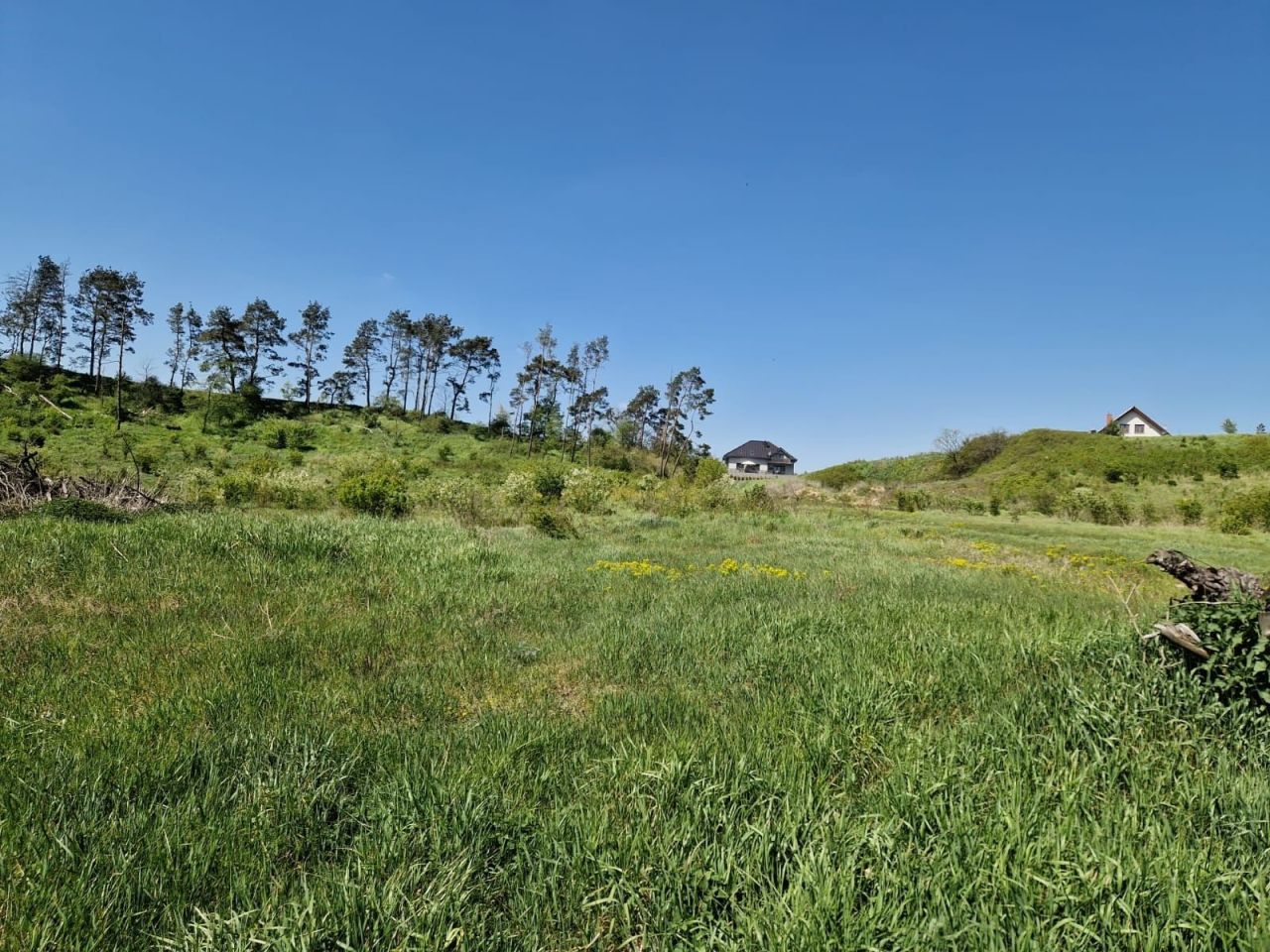 Działka leśna Nakło nad Notecią