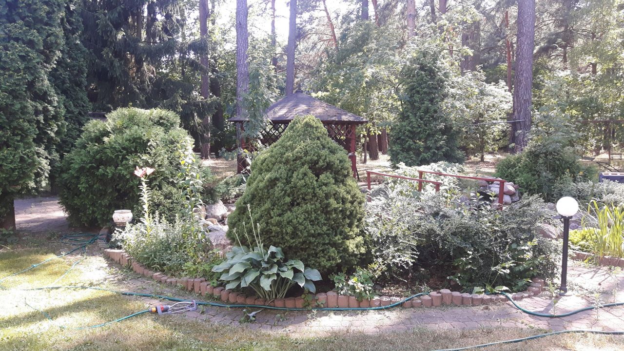 dom wolnostojący, 10 pokoi Baniocha. Zdjęcie 9