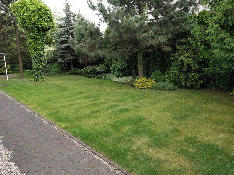 Terreno, 343 m²