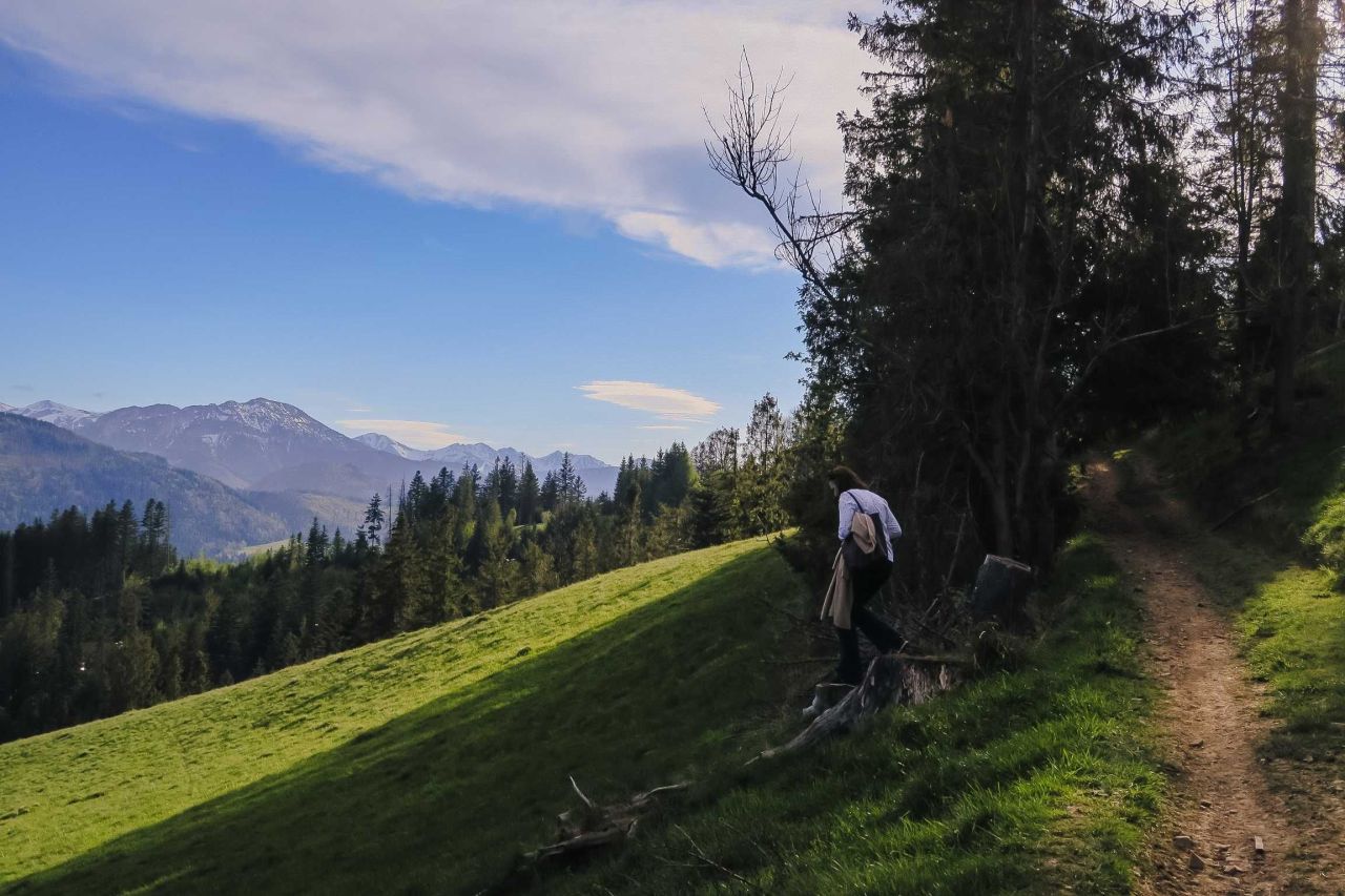 Działka inwestycyjna Zakopane Gubałówka, ul. Generała Kazimierza Sosnkowskiego. Zdjęcie 4