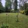 Działka rekreacyjna Popowo-Parcele, ul. Środkowa. Zdjęcie 6