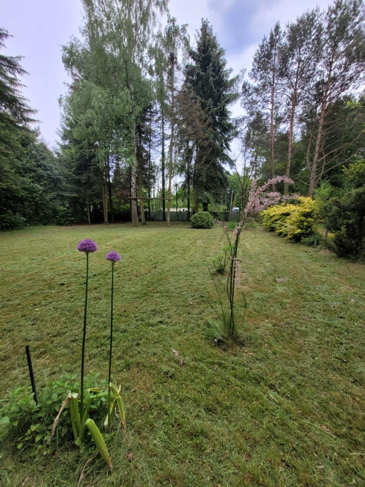 Działka rekreacyjna Popowo-Parcele, ul. Środkowa. Zdjęcie 6