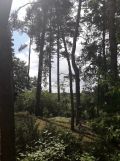 Działka budowlana Mniszew