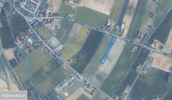 Działka rolno-budowlana Ryzowie