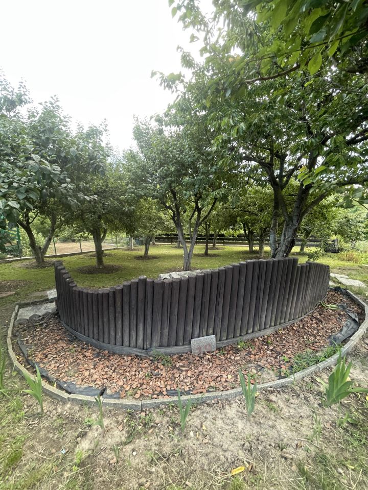 Działka rod Wieniec-Zalesie Dziadowo-Folwark, ul. Zdrojowa. Zdjęcie 7