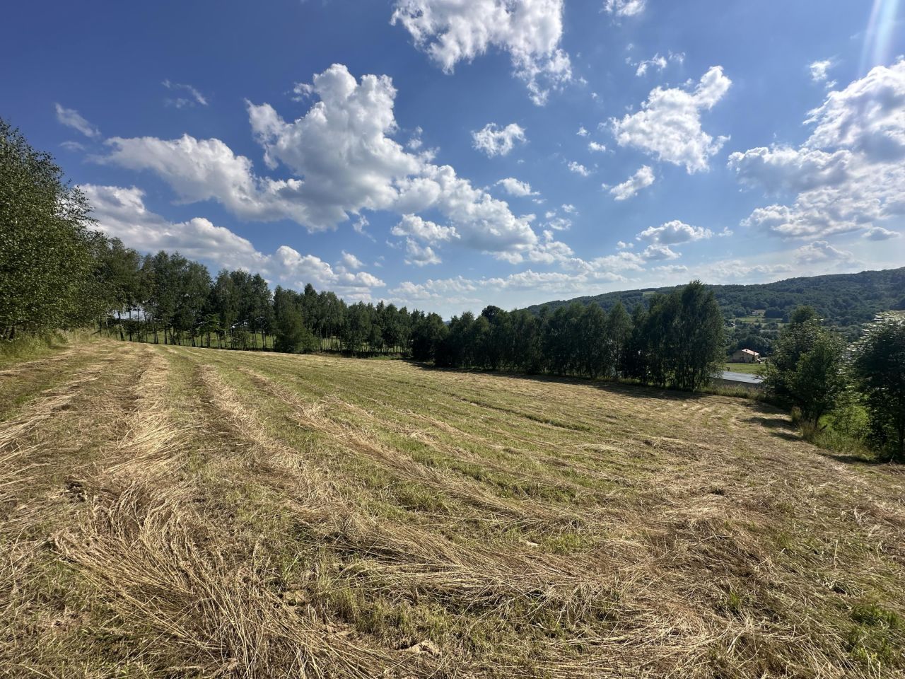 Działka rolno-budowlana Baryczka. Zdjęcie 2