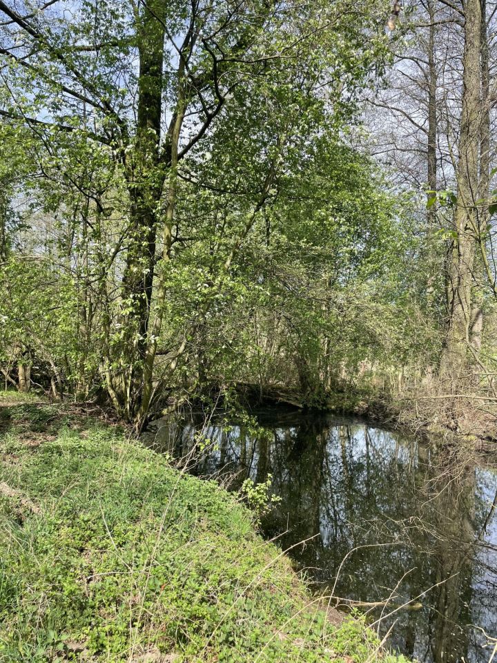 Działka budowlana Budy-Grzybek, ul. Księdza Baranowskiego. Zdjęcie 4