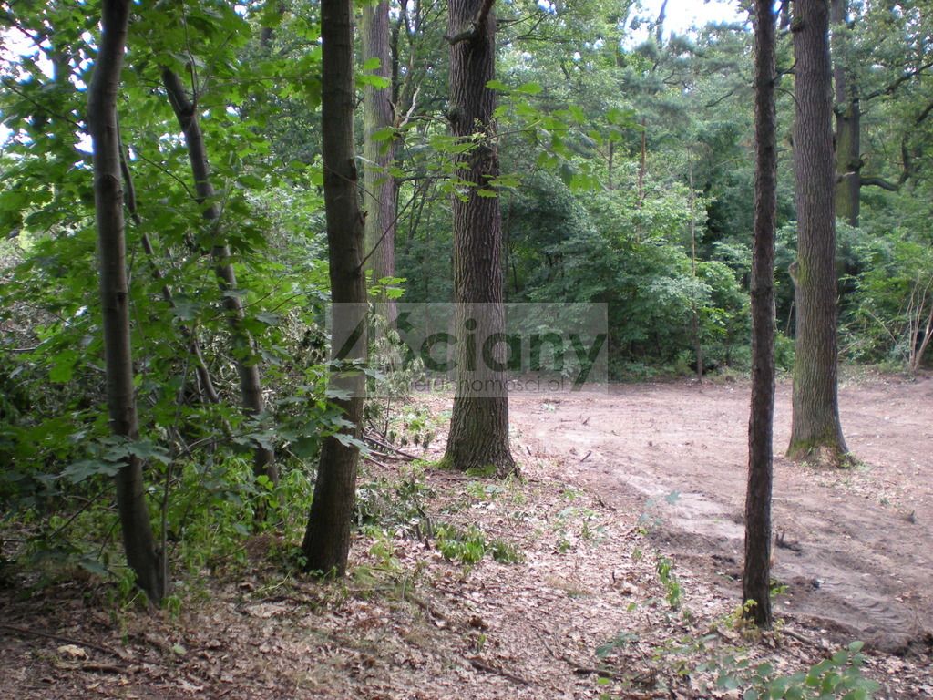 Działka inwestycyjna Warszawa Wawer. Zdjęcie 4