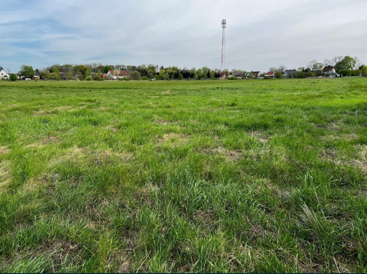 Działka rolna Kolsko. Zdjęcie 3