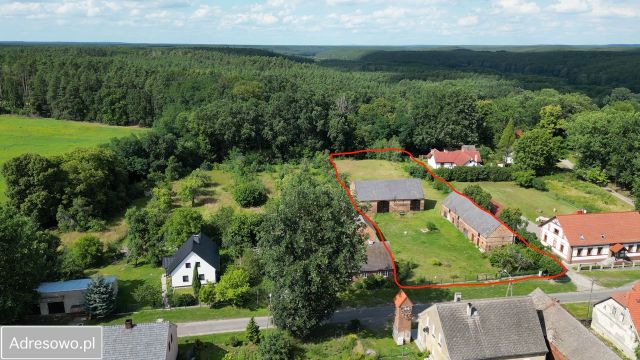 Działka rolno-budowlana Grabin. Zdjęcie 1