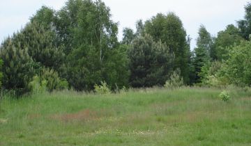 Działka inwestycyjna Wiewiórczyn, ul. Wincentego Witosa
