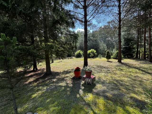 siedlisko, 4 pokoje Wandzin. Zdjęcie 10