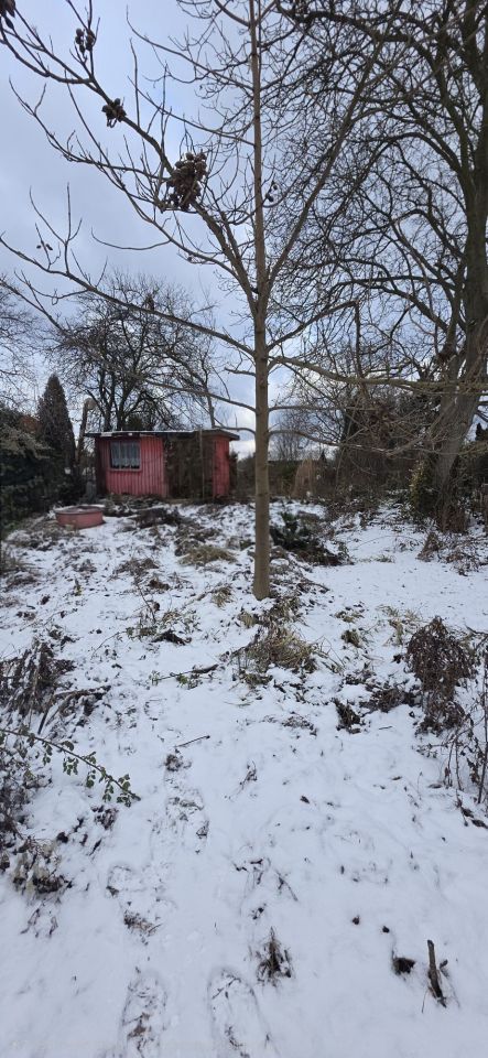 Działka rod Oświęcim Stare Stawy. Zdjęcie 7