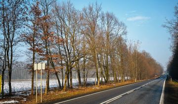 Działka inwestycyjna Wilcza