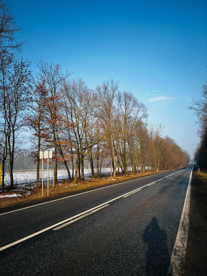 Działka inwestycyjna Wilcza