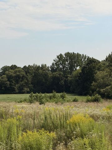 Działka rolno-budowlana Choroszcz, ul. Kruszewska. Zdjęcie 1