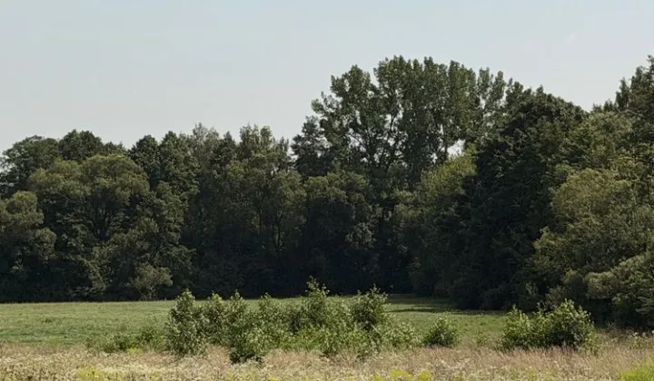 Działka rolno-budowlana Choroszcz, ul. Kruszewska