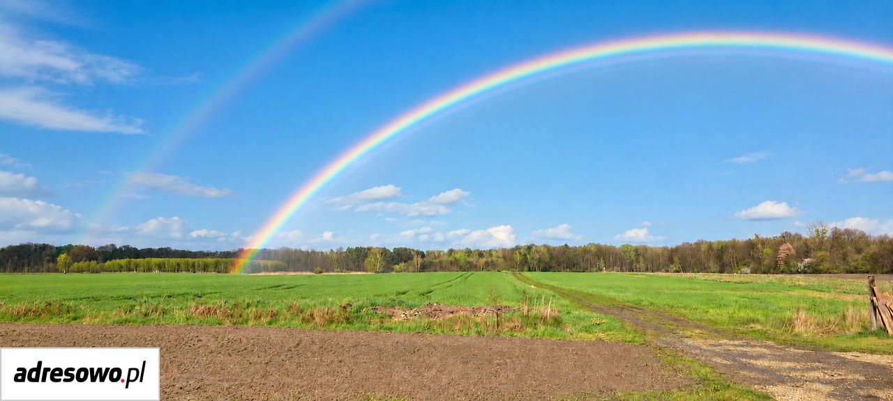 Działka rolno-budowlana Połomia. Zdjęcie 3