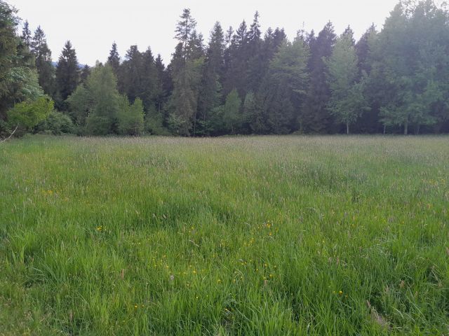 Działka rolna Łętowe Derczaki. Zdjęcie 1