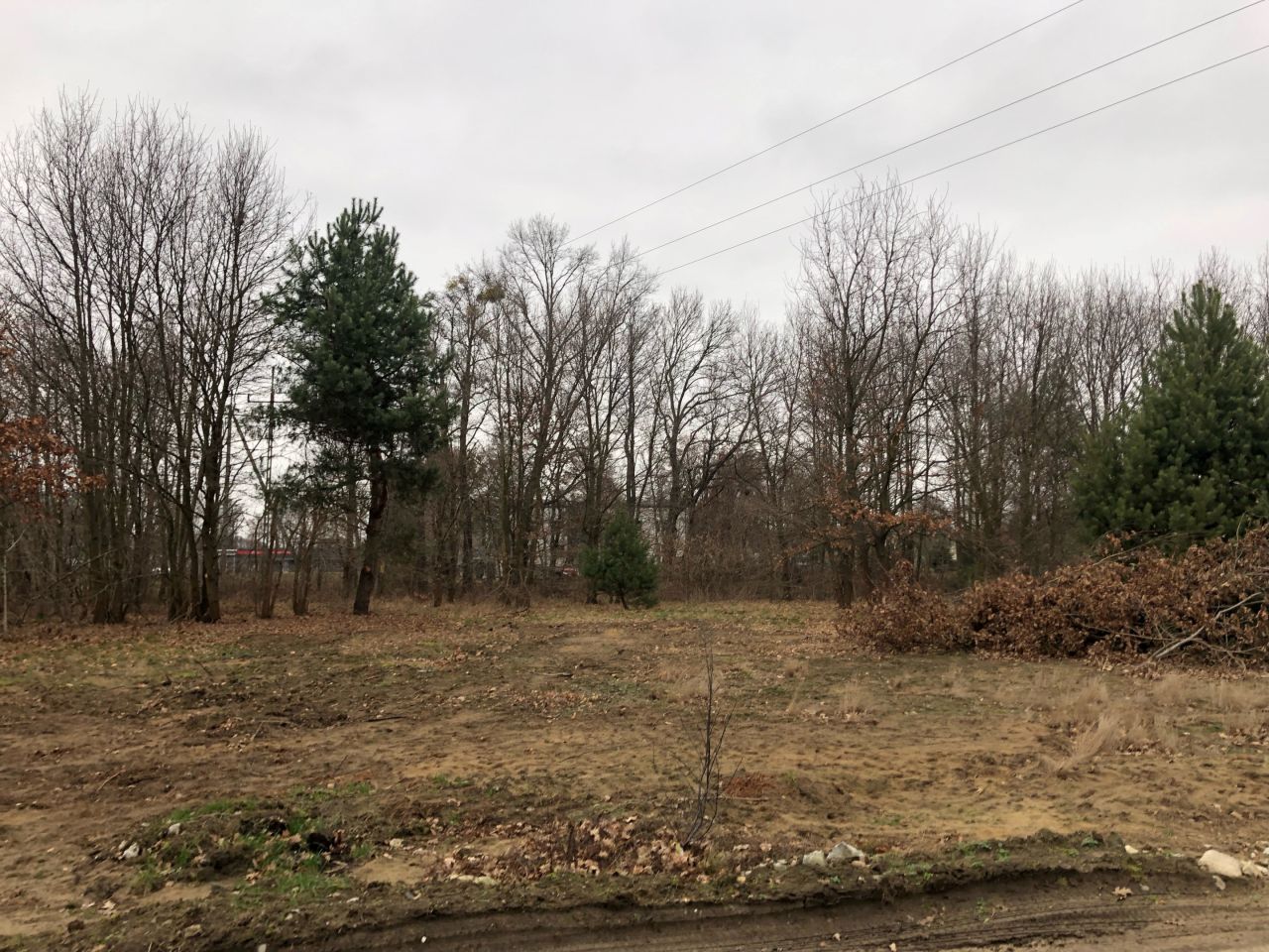 Działka budowlana Leoncin, ul. Podleśna. Zdjęcie 2