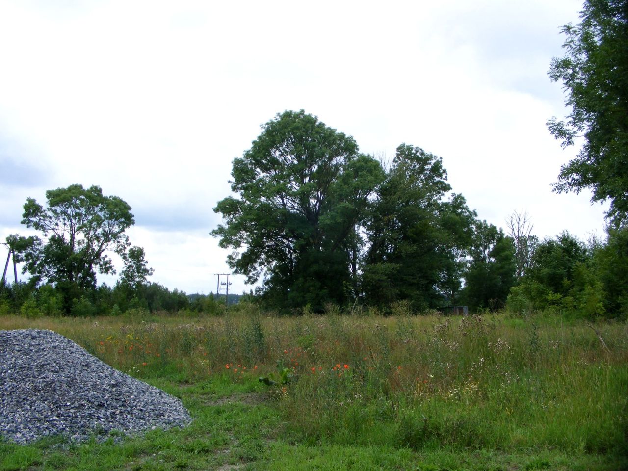 Działka budowlana Karcino. Zdjęcie 3