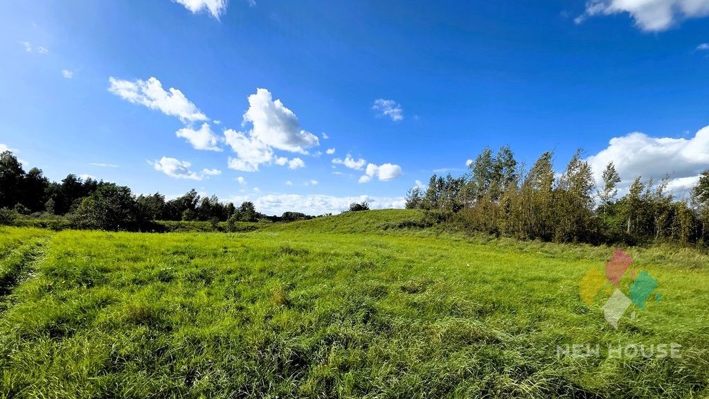 Działka Zerbuń. Zdjęcie 8