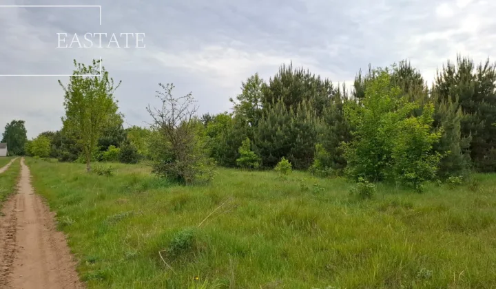 Działka inwestycyjna Myrcha