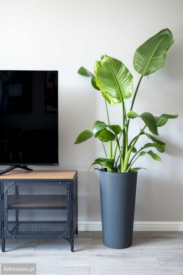 Mieszkanie 2-pokojowe Wrocław Popowice, ul. Białowieska. Zdjęcie 19