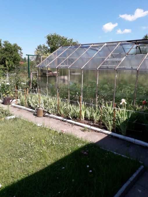 Działka rod Giżycko. Zdjęcie 2