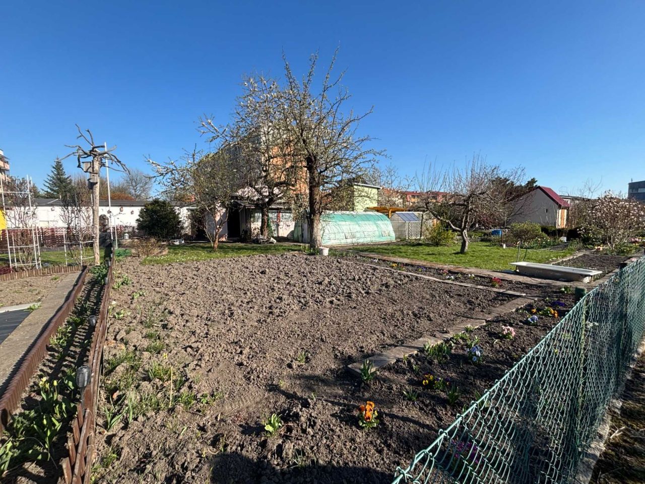 Działka rod Elbląg, ul. Jana Amosa Komeńskiego. Zdjęcie 4