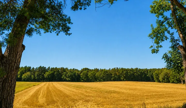 Działka rolna Świdniki