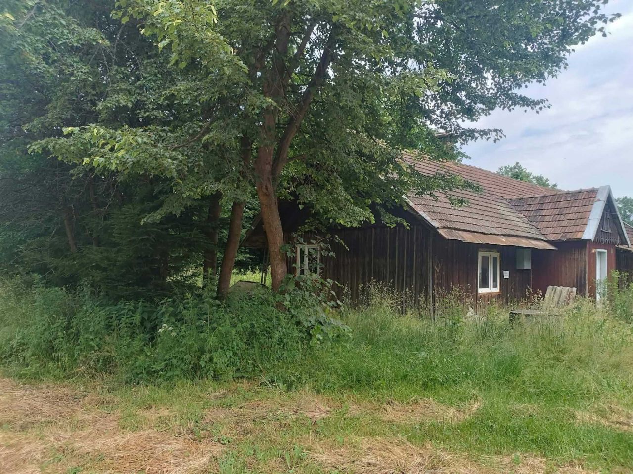 Działka rolno-budowlana Niebieszczany. Zdjęcie 4