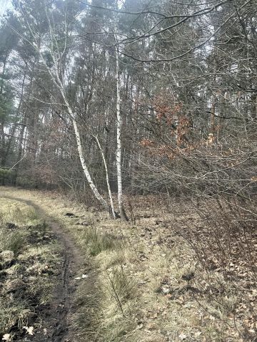 Działka budowlana Będzinko. Zdjęcie 2