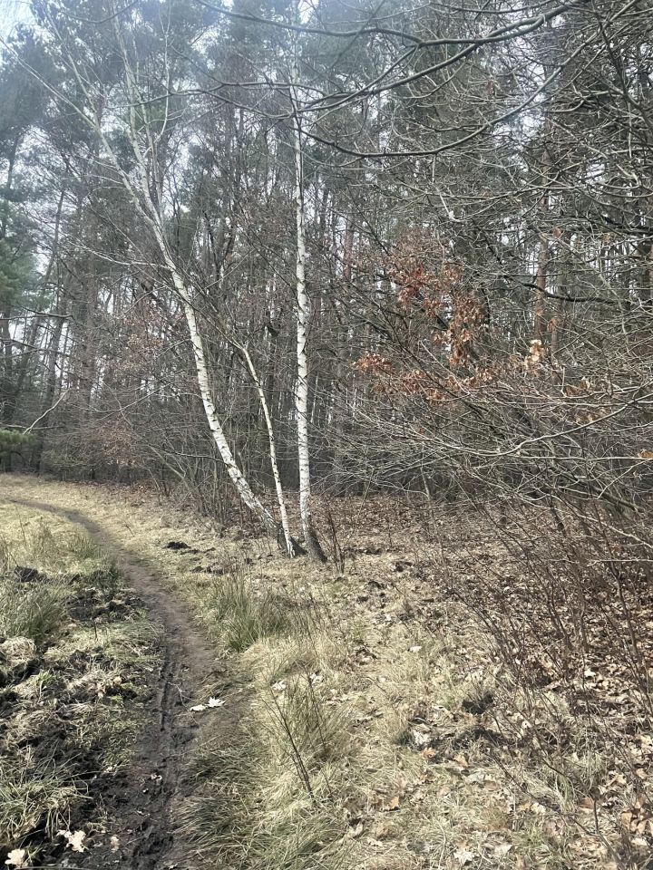 Działka budowlana Będzinko. Zdjęcie 2