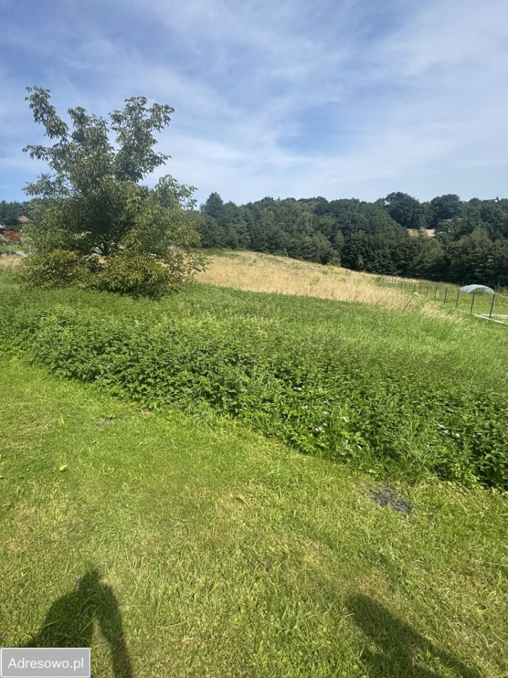 Działka Raciborsko. Zdjęcie 4