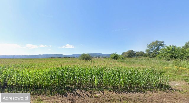 Działka budowlana Pieszyce. Zdjęcie 1