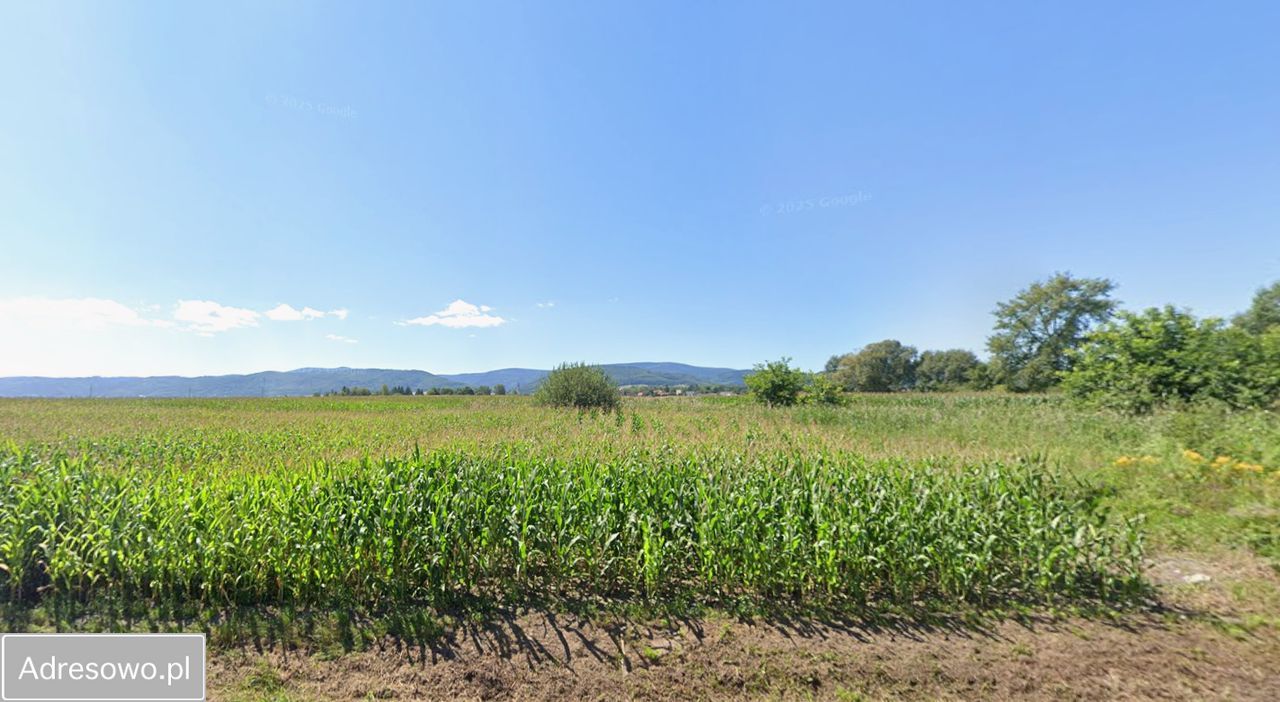 Działka budowlana Pieszyce. Zdjęcie 1