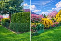 Działka rod Mączniki. Zdjęcie 4