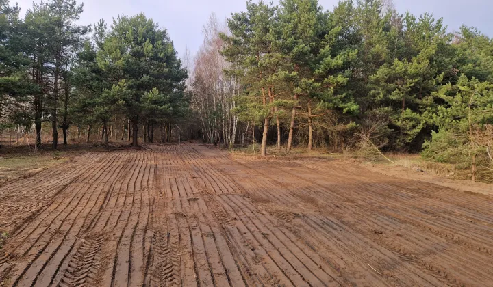 Działka rekreacyjna Chorzeszów, Brak