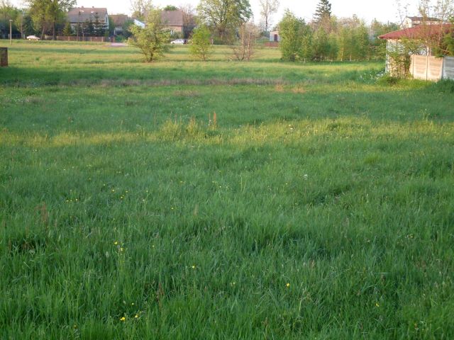 Działka budowlana Gruszewnia, ul. Andrzeja Kmicica. Zdjęcie 1