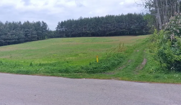 Działka budowlana Kocikowa Wola Kocikowa