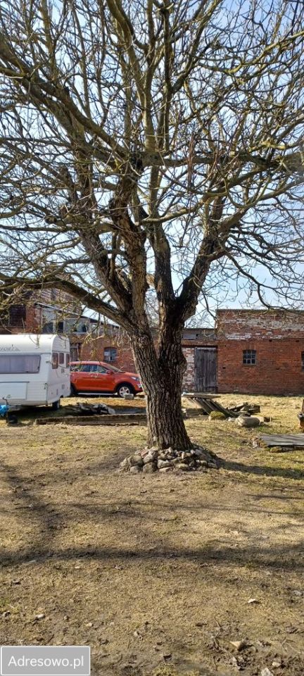 dom wolnostojący, 6 pokoi Dąbrowa Nowogardzka. Zdjęcie 5