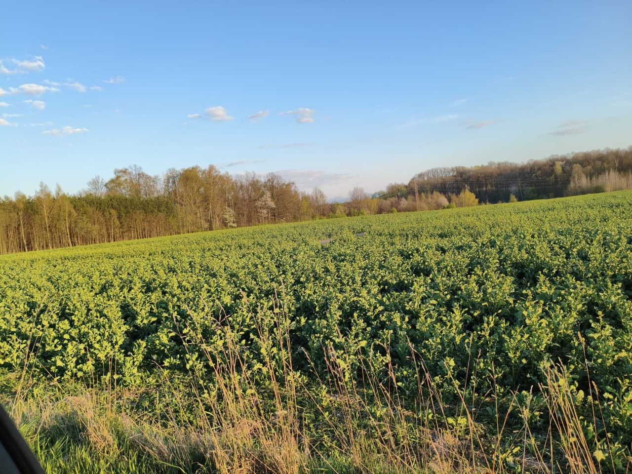 Działka budowlana Lubań. Zdjęcie 1