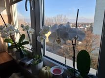 Mieszkanie 3-pokojowe Warszawa Stegny, ul. Portofino. Zdjęcie 2