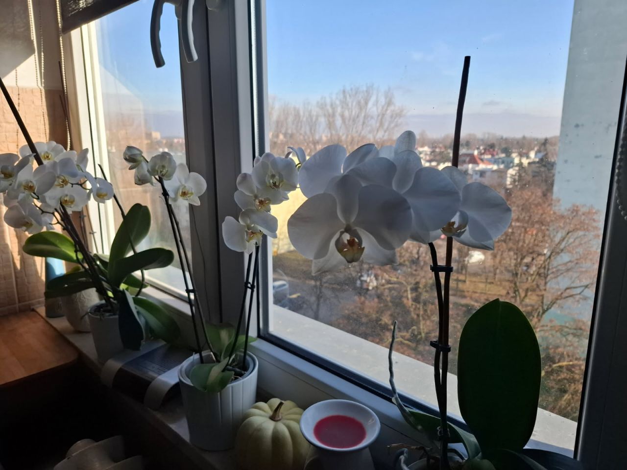 Mieszkanie 3-pokojowe Warszawa Stegny, ul. Portofino. Zdjęcie 3