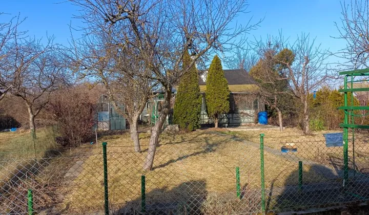 Działka rod Rogówko